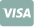 Icon paiement visa