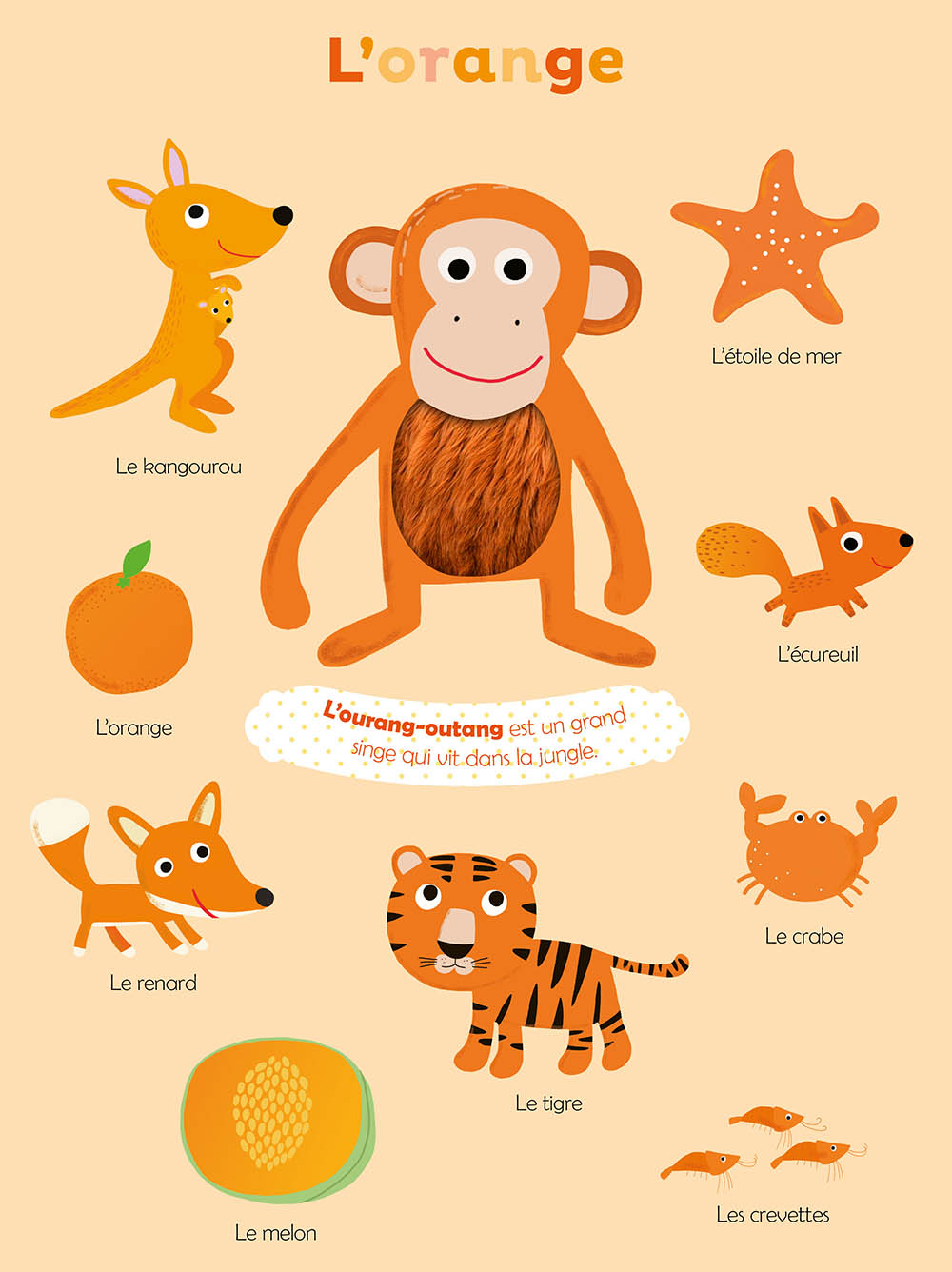 Mes premières couleurs à toucher – Image 2