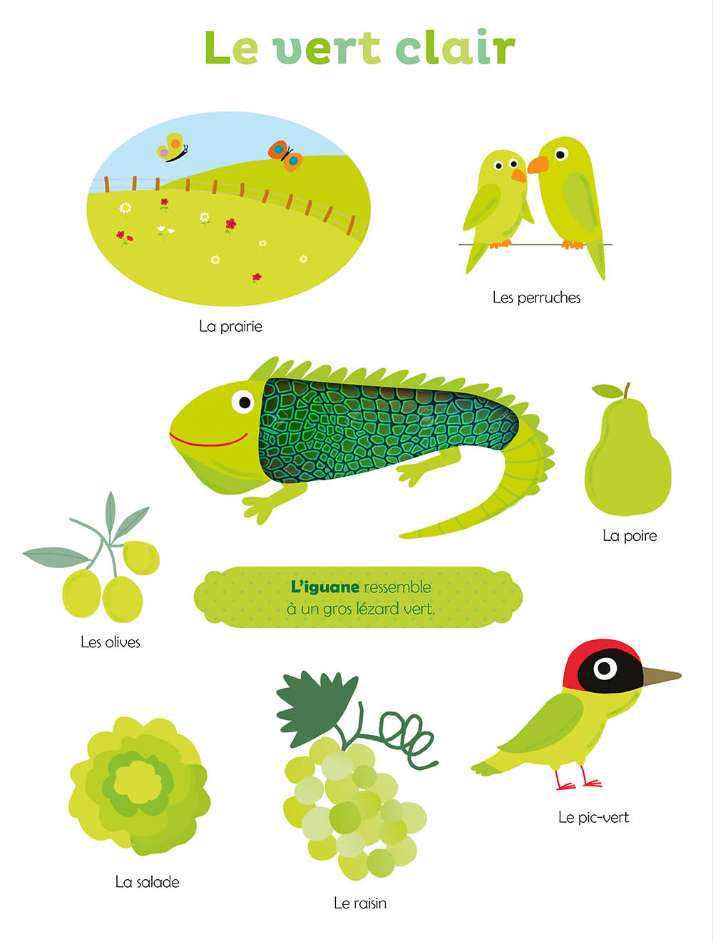 Mes premières couleurs à toucher – Image 3