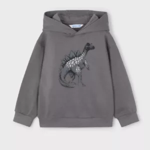 Sweat-shirt graphique dinosaure - Gris