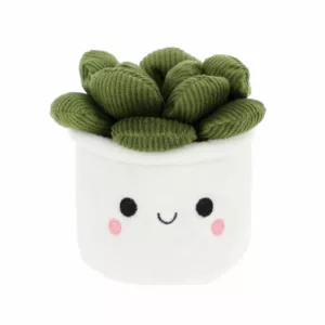 Peluche Plante Grasse Succulente