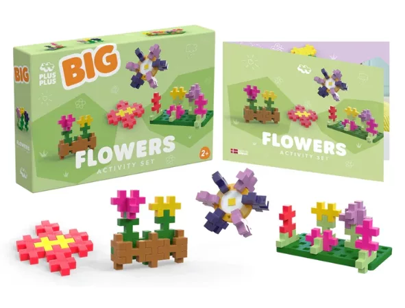 BIG - ACTIVITÉ - FLEURS - 100pcs