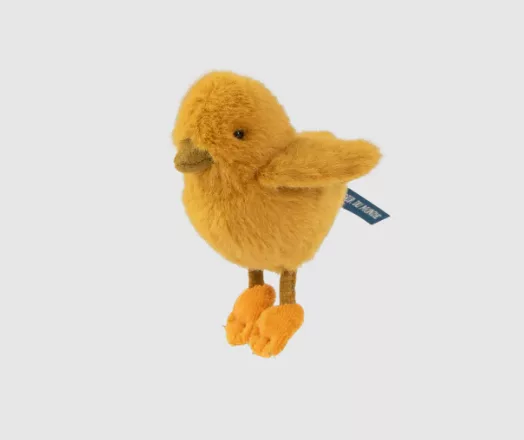 Poussin - Tout autour du monde