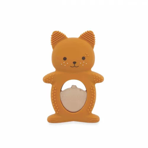 Duo dentition et réfrigérant Ecureuil