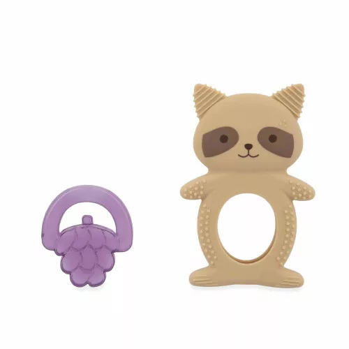 Duo dentition et réfrigéré raton laveur – Image 2