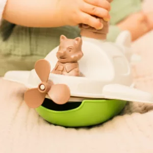 Hydravion de Mr Renard