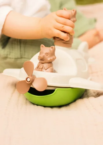 Hydravion de Mr Renard