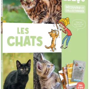 Ludoc - Découvrir Et Collectionner - Les Chats
