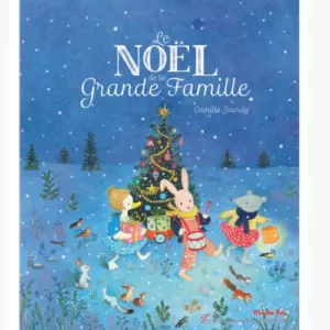 Livre le Noël de la grande famille