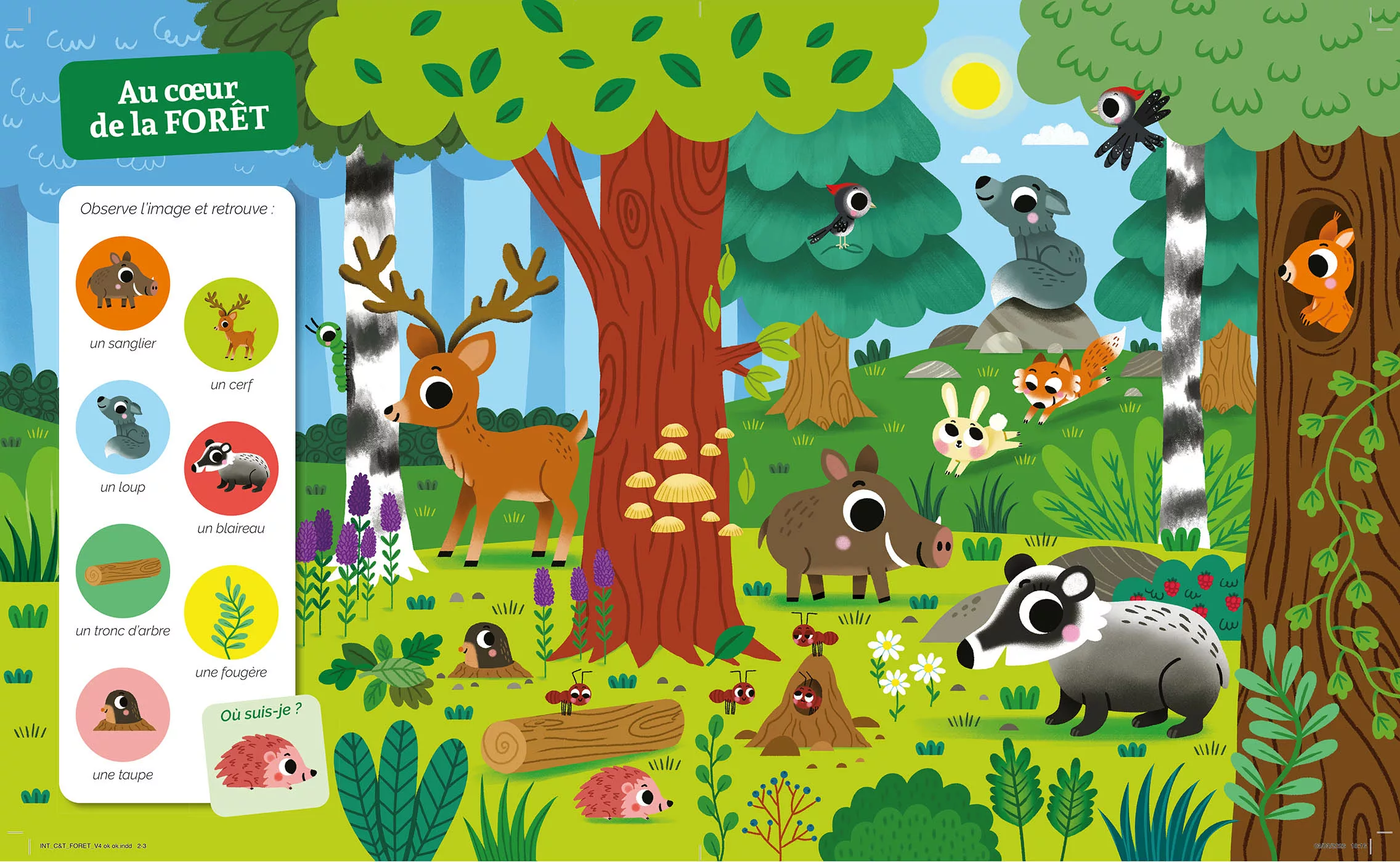 Cherche Et Trouve Des Tout-Petits - Dans La Forêt – Image 2